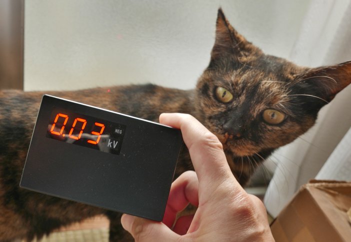 Electric potential of a cat